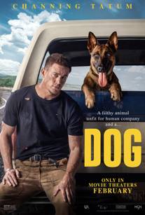 Köpek-Dog Filmi izle